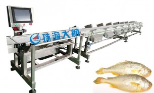 海產(chǎn)業(yè)騰飛，始于黃魚分選